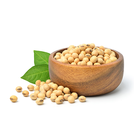 Ukrainian soybean meal exports to Poland increased in December.